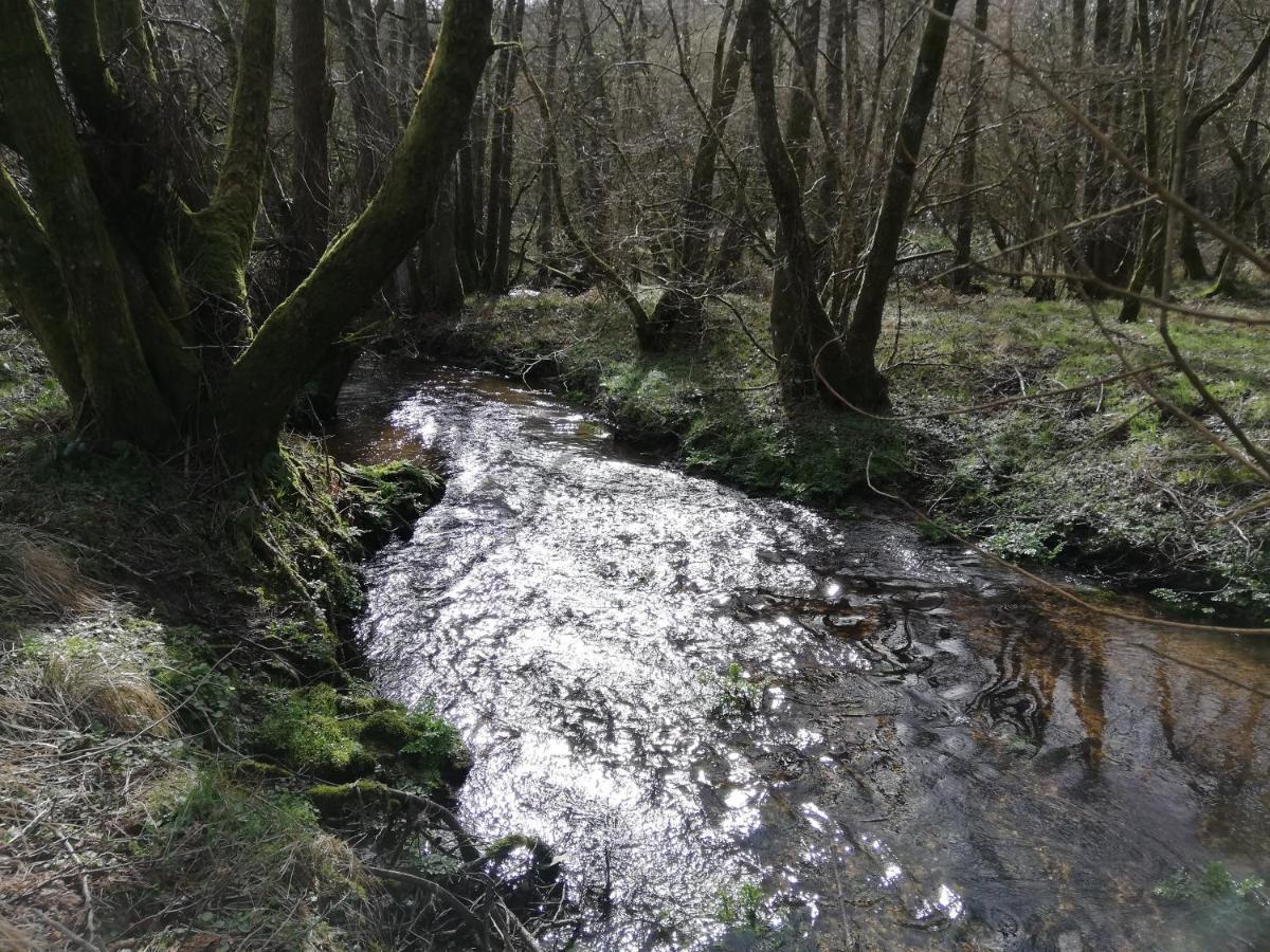 Wray Valley Moretonhampstead Exterior foto